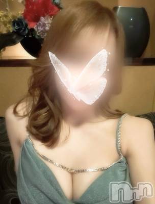 ƲХ顦THE LOUNGE (饦󥸥ե) 430̥֥🩵🦋🐋🧊🫧🐳🚰