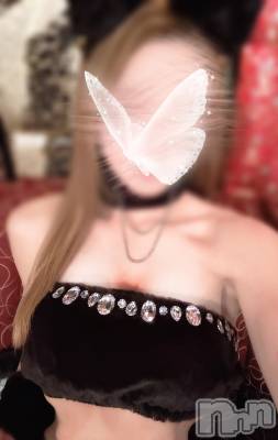 ƲХ顦THE LOUNGE (饦󥸥ե) 1129̥֥🐈‍⬛