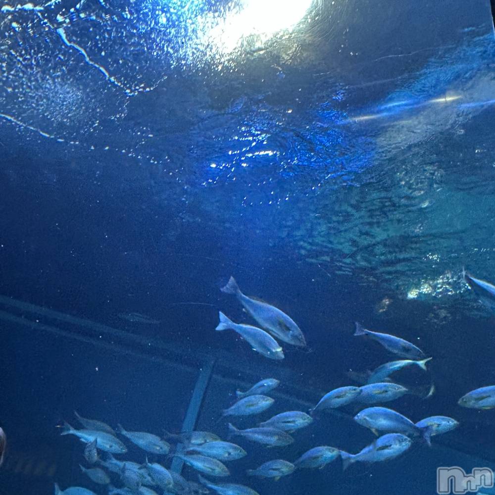 長岡デリヘルMimi(ミミ) みお(24)の2月26日写メブログ「💖お礼日記💖」