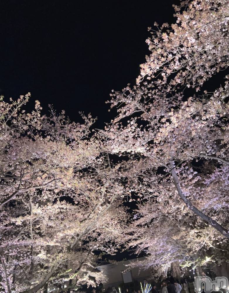 長岡デリヘルMimi(ミミ) みお(24)の4月15日写メブログ「🌙❀·̩͙꙳｡」