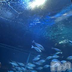 長岡デリヘルMimi(ミミ) みお(24)の2月26日写メブログ「💖お礼日記💖」