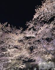 長岡デリヘルMimi(ミミ) みお(24)の4月15日写メブログ「🌙❀·̩͙꙳｡」