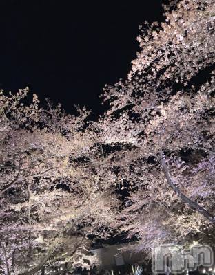 長岡デリヘル Mimi(ミミ) みお(24)の4月15日写メブログ「🌙❀·̩͙꙳｡」