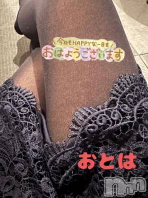 新潟人妻デリヘル 人妻不倫処　桃屋　新潟店(ヒトヅマフリンドコロモモヤ) おとは・新人奥様(40)の4月22日写メブログ「おはようです～❤︎」
