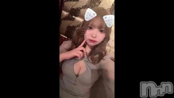 &#x1F431;