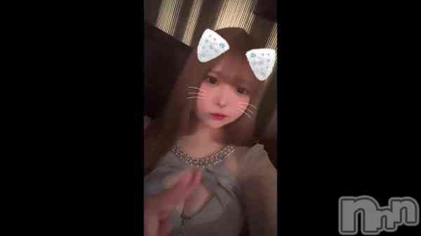 &#x1F431;