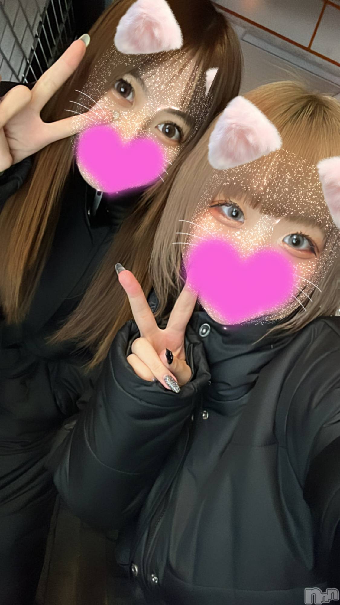 ʥå륺С󥻥ץȥե̴Ѷ~̤⤷ʤ¤~(󥻥ץȥեߥϥ祦) 2024ǯ25̥֥ϡ🪽