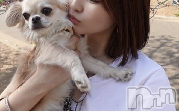 ����ȯ����ѥ˥��󥯥�֥���ѥ˥��󥯥�� �饤�� ��2026ǯ3��30���̥�֥����ָ������¤Ǥ���☺️��