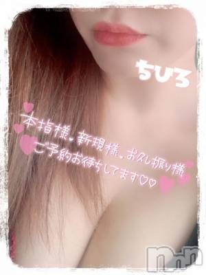 0:00まで&#x1F408;&#x200D;&#x2B1B;&#x1F319;