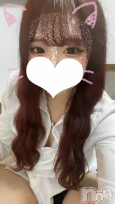 (20) Ĺ151cm󥺥 Sweet Room(ȥ롼)ҡ