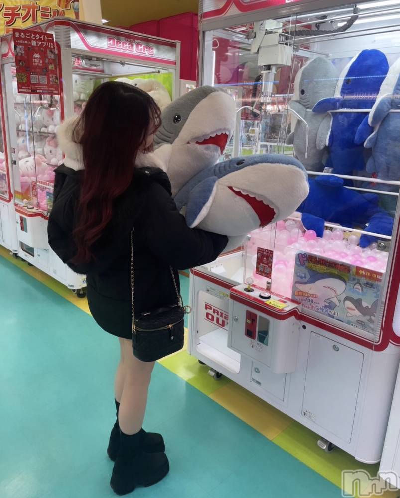 ܱХ顦() ʤ313̥֥1000ߤ2ɤ줿🦈
