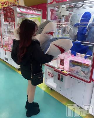 ܱХ顦() (21)313̥֥1000ߤ2ɤ줿🦈