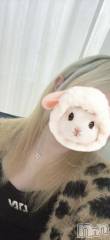 三条デリヘル新潟デリヘル倶楽部　三条店(ニイガタデリヘルクラブ　サンジョウテン) せいら(20)の10月7日写メブログ「寝れない夜は××すると…」