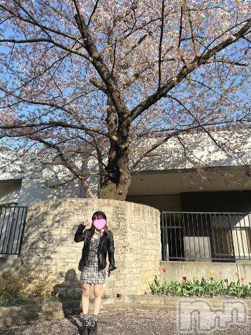 三条デリヘルalphaGOLD(アルファゴールド)えむ(24)の2024年6月17日写メブログ「お礼♡」