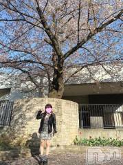 三条デリヘルalphaGOLD(アルファゴールド) えむ(24)の6月17日写メブログ「お礼♡」