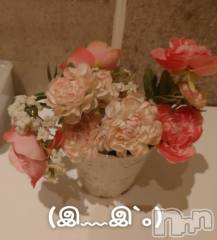 新潟人妻デリヘル新潟人妻デリバリーヘルス 下心 ～したごころ～(シタゴコロ) 初音(はつね)奥様(40)の8月11日写メブログ「❥08/11…😢」