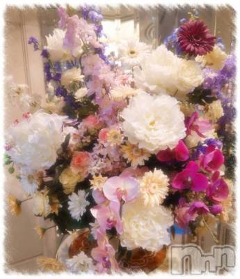 新潟デリヘル 新潟人妻デリバリーヘルス 下心 ～したごころ～(シタゴコロ) 初音(はつね)奥様(40)の10月24日写メブログ「🌷10/24…🍀」