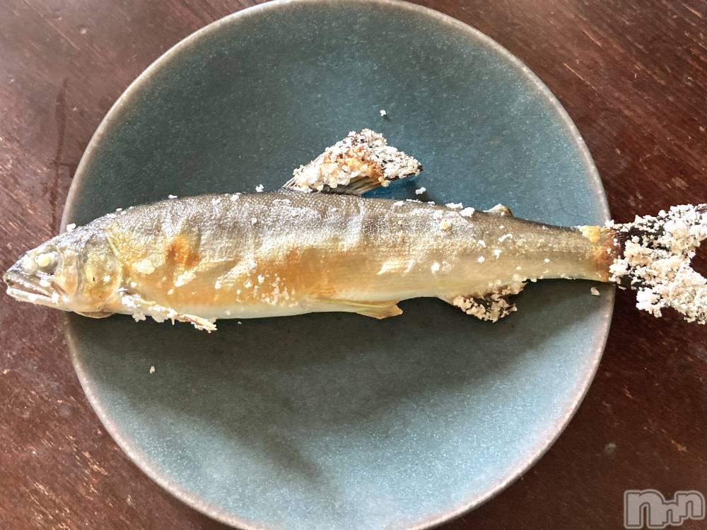 ʥå륺СSNACK Himawari(ʥåҥޥ) ʤ86̥֥🐟