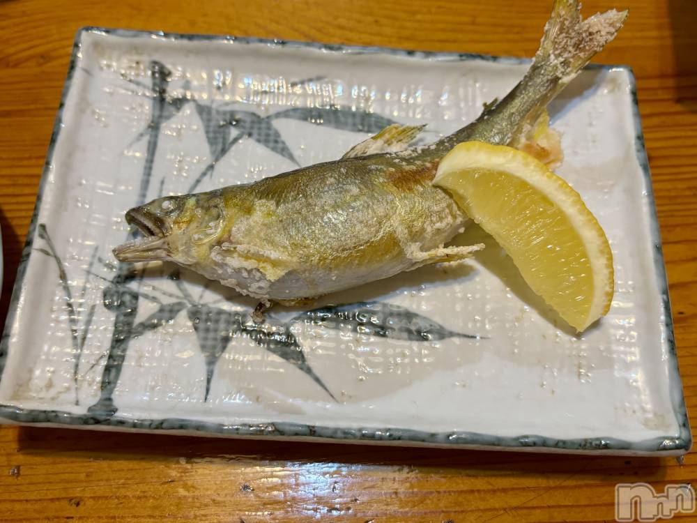 ʥå륺СSNACK Himawari(ʥåҥޥ) ʤ1017̥֥🐟