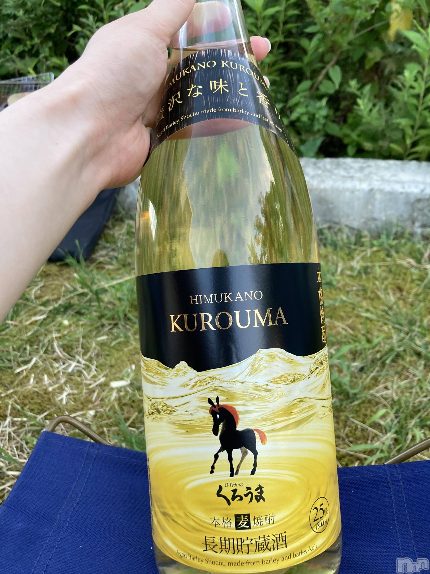ʥå륺СSNACK Himawari(ʥåҥޥ) 2024ǯ822̥֥🥃