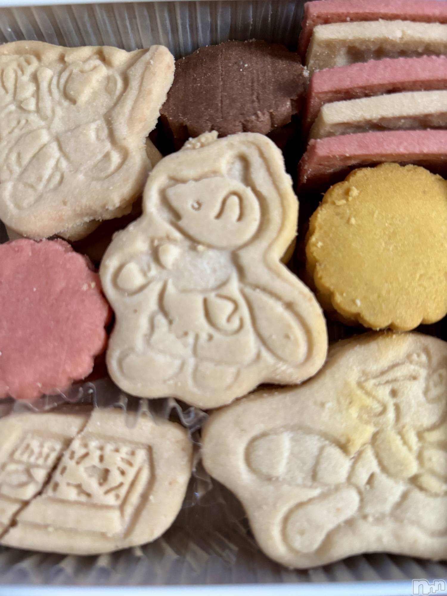 ʥå륺СSNACK Himawari(ʥåҥޥ) 2025ǯ818̥֥🍪