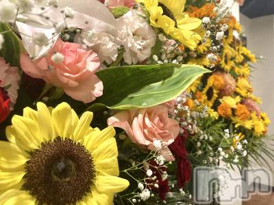 ʥå륺СSNACK Himawari(ʥåҥޥ) ʤ713̥֥🌻