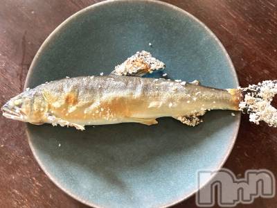 ʥå륺СSNACK Himawari(ʥåҥޥ) ʤ86̥֥🐟