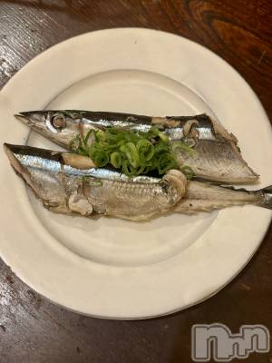 新潟駅前スナック・ガールズバーSNACK Himawari(スナックヒマワリ) さなの10月20日写メブログ「🐟」