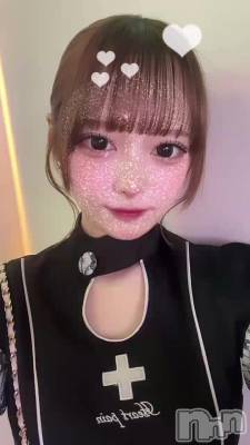 81 2033ʬΥ֥
