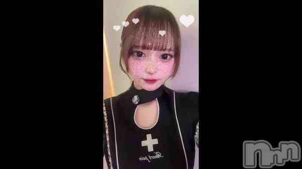 81 2033ʬΥ֥