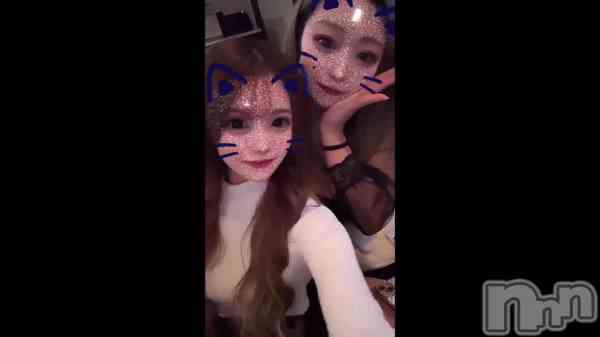 Ҥʤ֤ˤ&#x1F431;