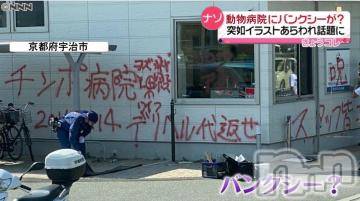 新潟デリヘル奥様特急 新潟店(オクサマトッキュウニイガタテン)あめ(35)の2024年6月3日写メブログ「デリ○ル代返せ(笑)😂」