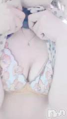 新潟デリヘル奥様特急 新潟店(オクサマトッキュウニイガタテン) あめ(35)の1月28日動画「褒められポメラニアン」
