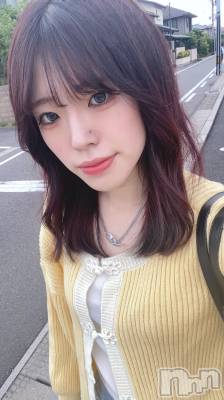 ʥå륺СSNACK Himawari(ʥåҥޥ) ߤ(20)531ֽ̥֥🌸