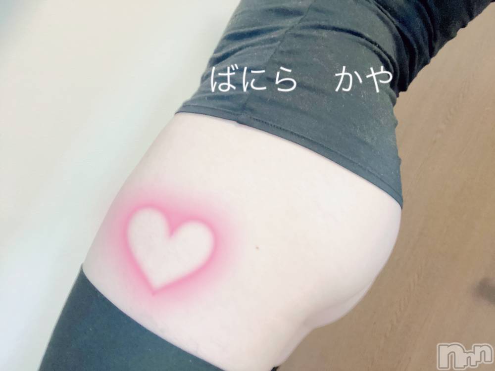 松本発デリヘルVANILLA(バニラ) かや(30)の2月25日写メブログ「my hip🍑」