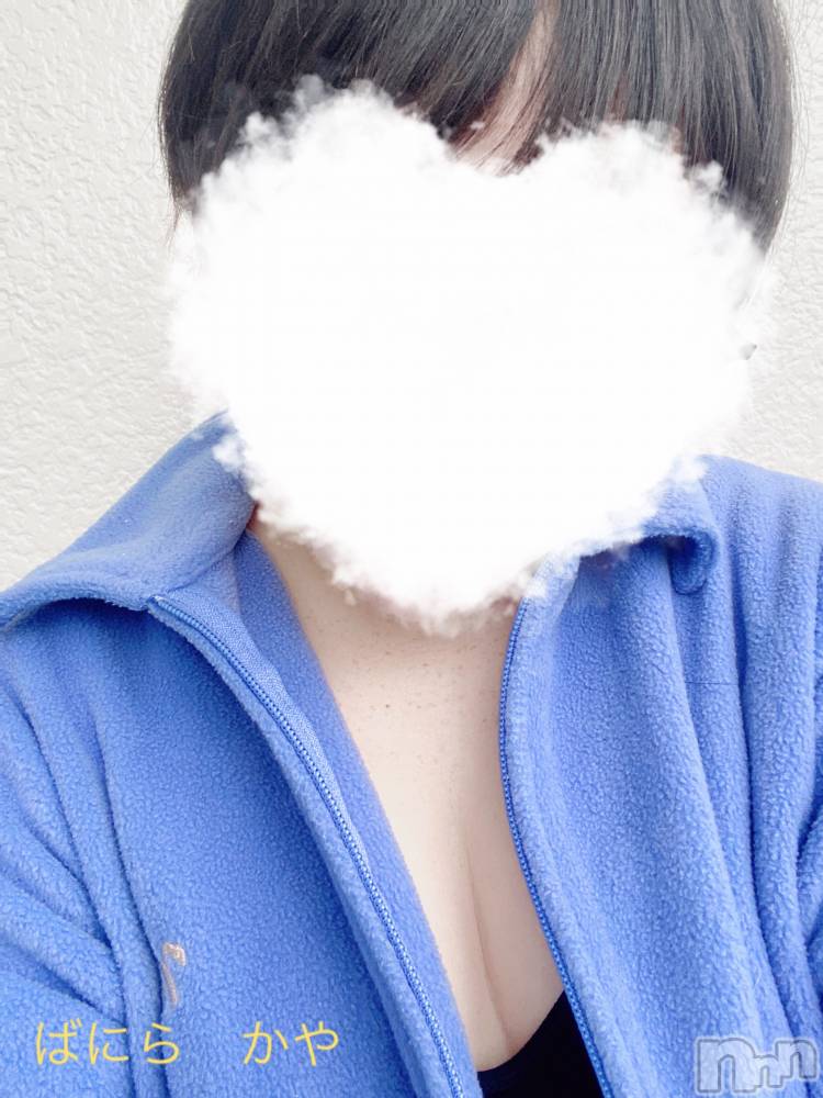 松本発デリヘルVANILLA(バニラ) かや(30)の3月25日写メブログ「あじさい通り」