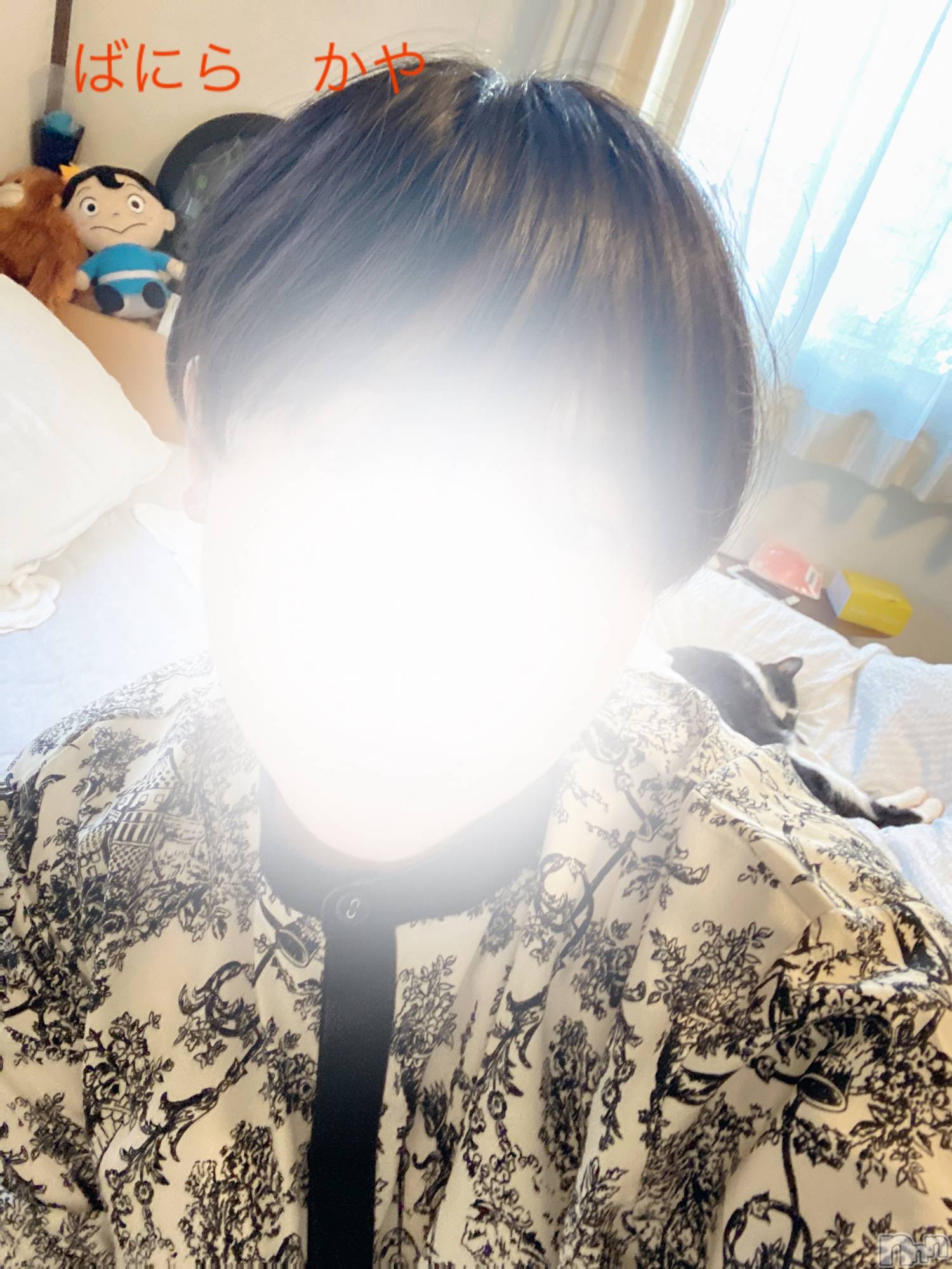 松本発デリヘルVANILLA(バニラ)かや(30)の2024年5月22日写メブログ「私服と猫と至福」