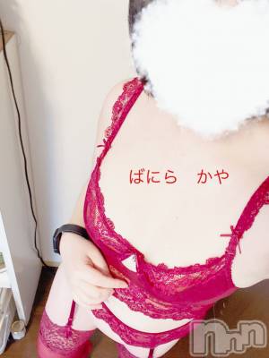松本発デリヘル VANILLA(バニラ) かや(30)の2月20日写メブログ「✨初ガーターベルト✨」