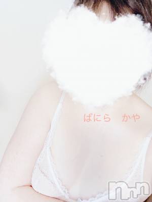 松本発デリヘル VANILLA(バニラ) かや(30)の2月22日写メブログ「猫の日😻」