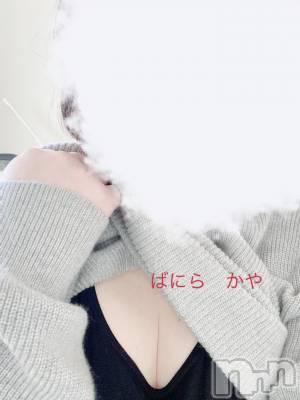 松本発デリヘル VANILLA(バニラ) かや(30)の2月24日写メブログ「雪解け🐳」