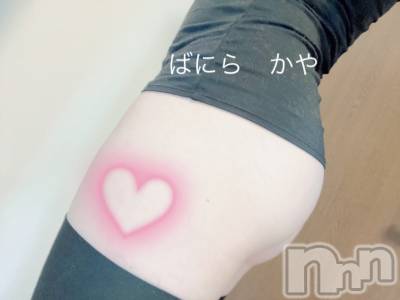 松本発デリヘル VANILLA(バニラ) かや(30)の2月25日写メブログ「my hip🍑」