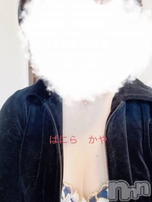 松本発デリヘル VANILLA(バニラ) かや(30)の2月26日写メブログ「チラリズム」