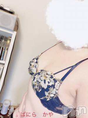 松本発デリヘル VANILLA(バニラ) かや(30)の3月12日写メブログ「初出勤しました❣️」