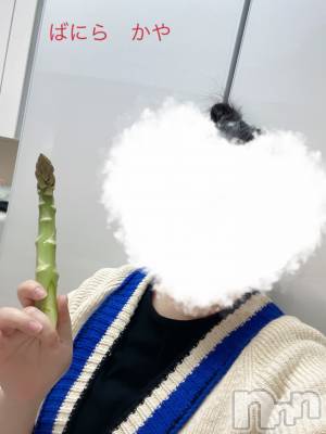 松本発デリヘル VANILLA(バニラ) かや(30)の3月17日写メブログ「凄く大っきい💕」