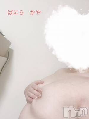 松本発デリヘル VANILLA(バニラ) かや(30)の4月5日写メブログ「出勤しました❣️」