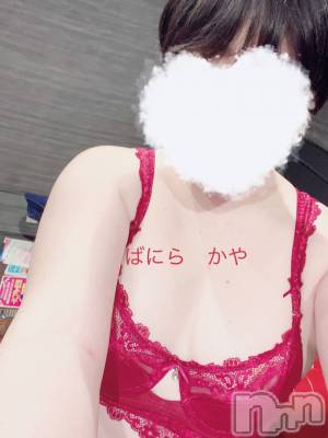 松本発デリヘル VANILLA(バニラ) かや(30)の4月11日写メブログ「寝るのだー🥱」