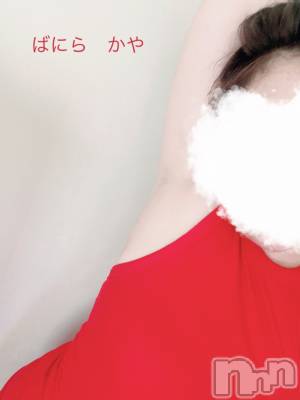 松本発デリヘル VANILLA(バニラ) かや(30)の4月14日写メブログ「脇の下🙌」