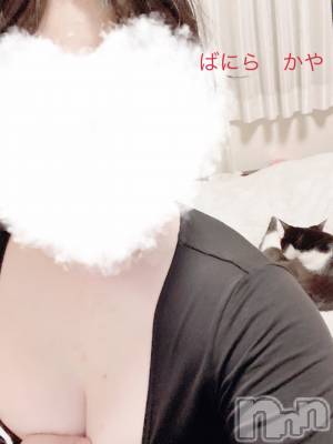 松本発デリヘル VANILLA(バニラ) かや(30)の4月18日写メブログ「ぱいとネコ」