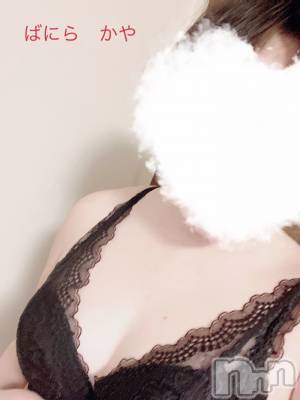 松本発デリヘル VANILLA(バニラ) かや(30)の4月20日写メブログ「ノーパンしゃぶしゃふ👯」