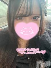 長岡デリヘル奥様特急 長岡店(オクサマトッキュウナガオカテン) えりか(20)の2月23日写メブログ「(次回16:40頃～🈳)出勤🎶」